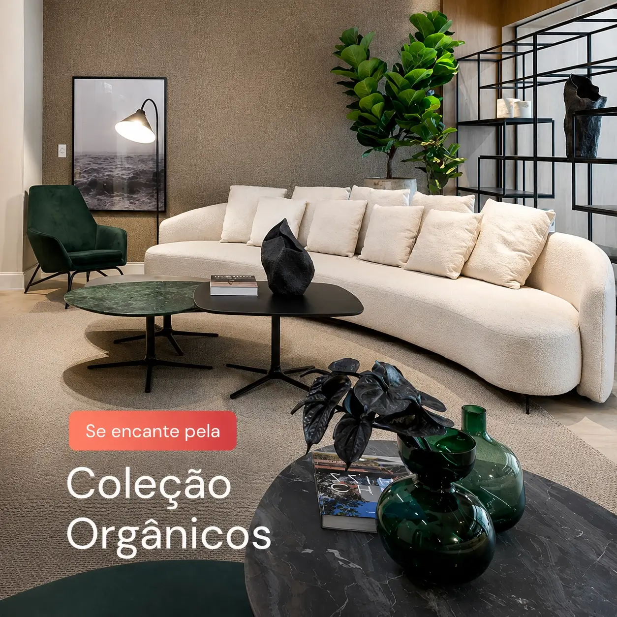 Cole&ccedil;&atilde;o Org&acirc;nicos